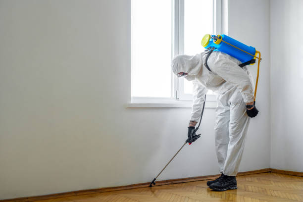 Best Mosquito Control Services  in , TN