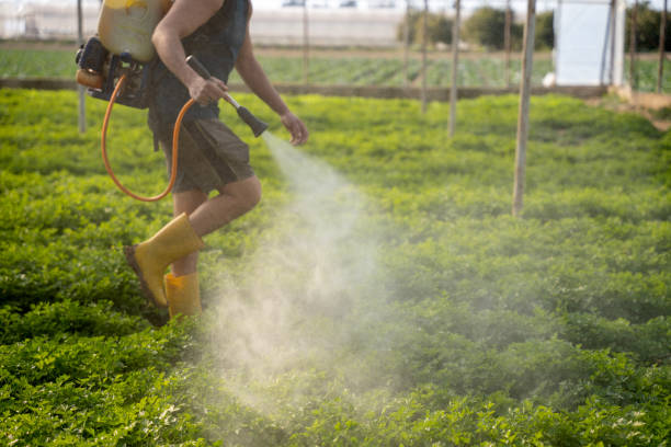 Best Residential Pest Control  in , TN